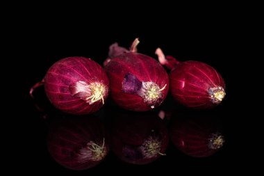 Küçük kırmızı soğan soğanı siyah camda izole edilmiş.