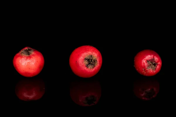 Rowanberry rojo salvaje aislado en vidrio negro —  Fotos de Stock