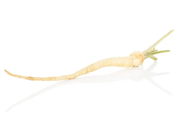 Beyaz maydanoz kökü yalıtılmış — Stok fotoğraf