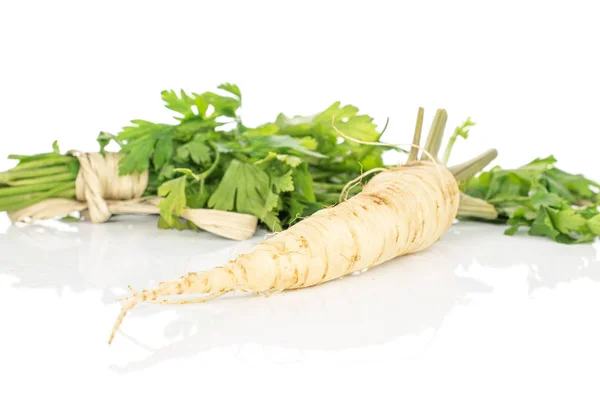 White parsley root isolated on white — Stock Photo, Image