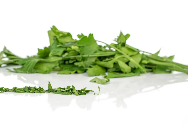 Flat leaf parsley isolated on white — Stock Photo, Image