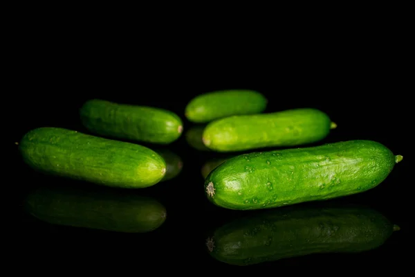 Friss zöld baba uborka izolált fekete üveg — Stock Fotó