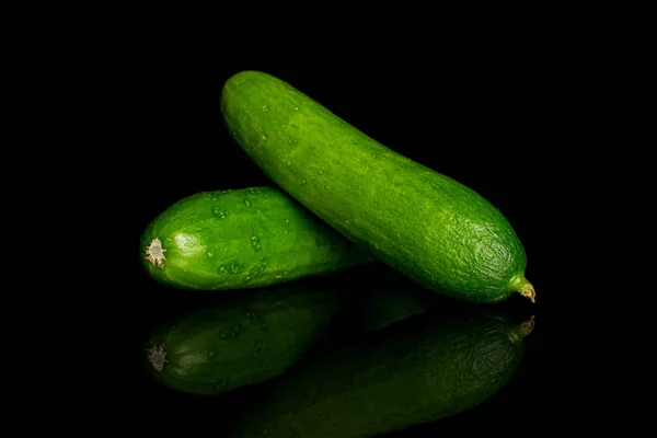 Friss zöld baba uborka izolált fekete üveg — Stock Fotó