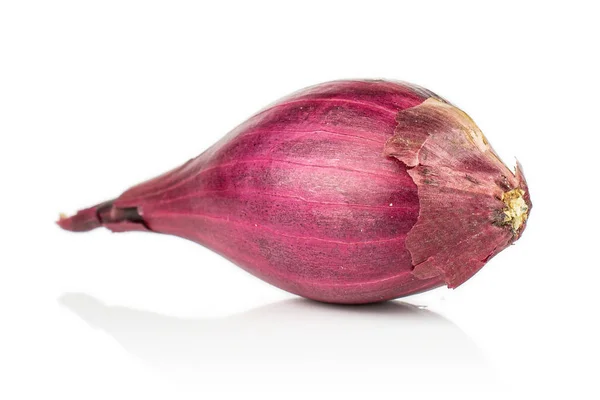Маленькая красная луковица, изолированная на белом — стоковое фото