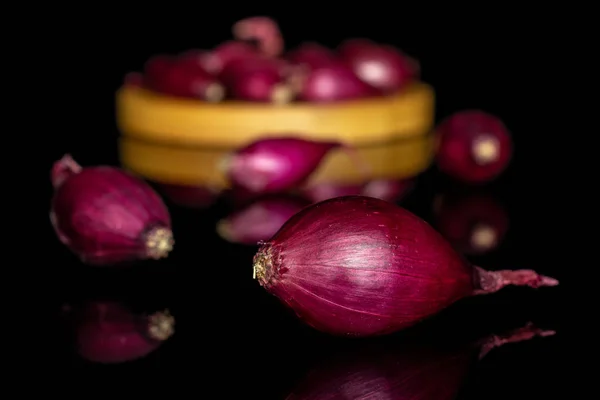 Small red onion bulb isolated on black glass — Stock Photo, Image