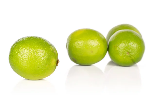 Limão azedo verde isolado em branco — Fotografia de Stock