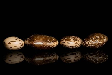 Kahverengi benekli fasulye siyah camda izole edilmiş.