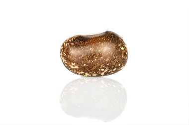 Kahverengi benekli fasulye beyazda izole edilmiş.