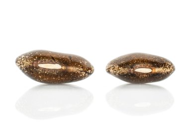 Kahverengi benekli fasulye beyazda izole edilmiş.