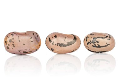 Benekli fasulye beyazı izole etti.