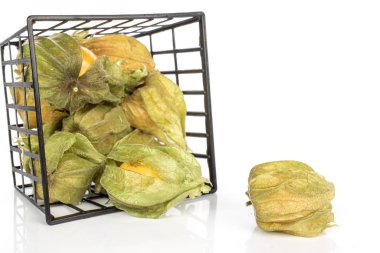 Taze turuncu physalis beyaz izole