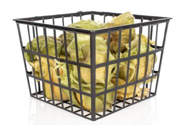 Taze turuncu physalis beyaz izole