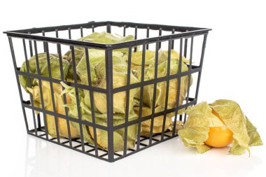 Taze turuncu physalis beyaz izole