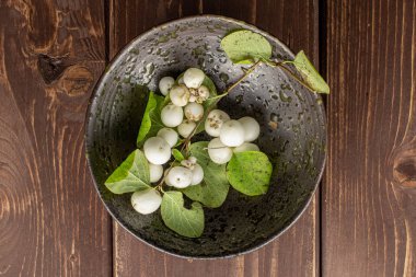 Kahverengi ağaçta beyaz kar çileği