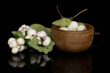 Siyah camda izole edilmiş beyaz kar çileği