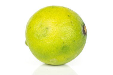 Guacamole malzemesi beyaza izole edilmiş.