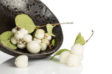 Beyaz kar böğürtleni, beyaz