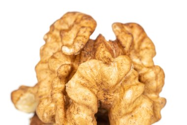 Taze kahverengi ceviz, beyaz üzerine izole edilmiş.