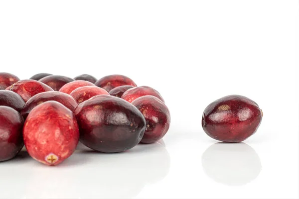 Cranberry merah segar diisolasi pada warna putih — Stok Foto