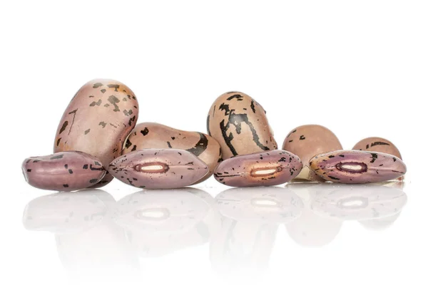 白で隔離された豆のピント — ストック写真
