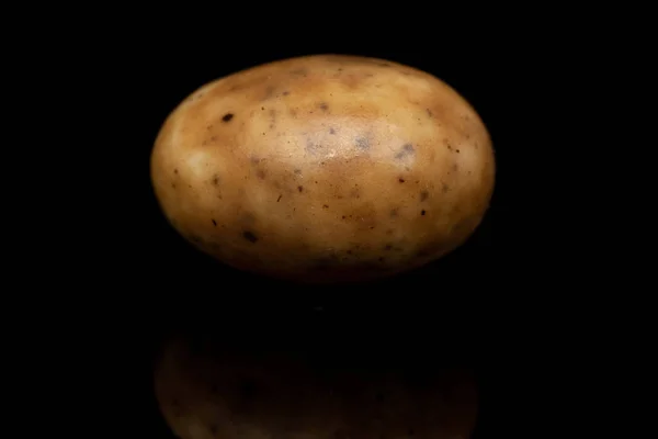 Tiramisu almond nut isolated on black glass — Stock Photo, Image