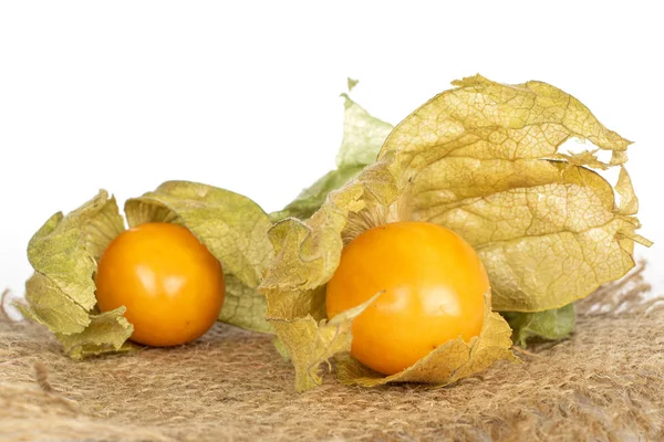 Physalis laranja fresco isolado em branco — Fotografia de Stock