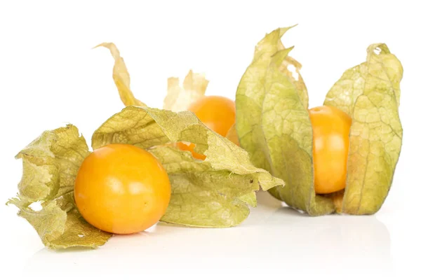 Fresh orange physalis isolated on white — Stock Photo, Image