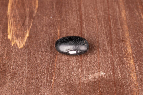 Dried black bean on brown wood