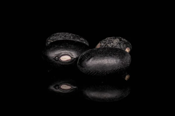 Gedroogde zwarte boon geïsoleerd op zwart glas — Stockfoto