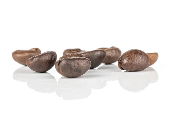 Färsk kaffeböna isolerad på vitt — Stockfoto