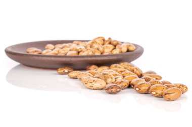 Pinto brown bean isolated on white