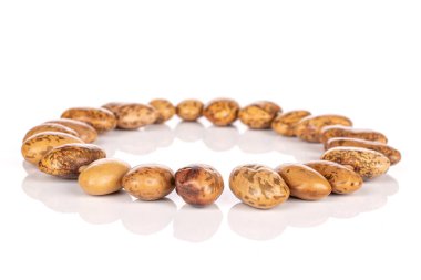 Pinto brown bean isolated on white