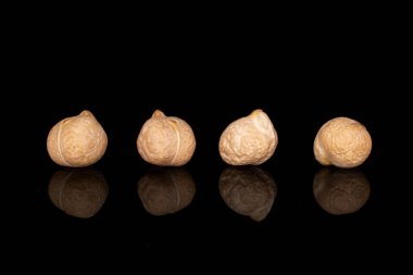 Fresh tan chickpea isolated on black glass