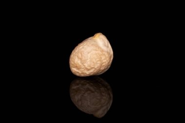 Fresh tan chickpea isolated on black glass
