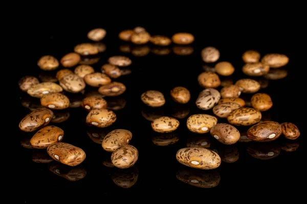Pinto brown bean isolated on black glass — Stock Photo, Image