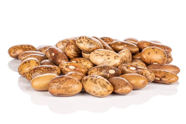Pinto brown bean isolated on white — Stock Photo, Image