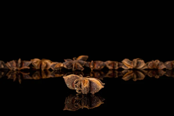 Badiaanse ster anijs geïsoleerd op zwart glas — Stockfoto