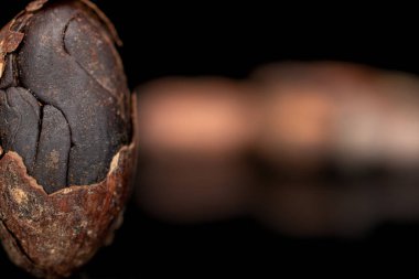 Kahverengi kakao çekirdeği siyah camda izole edilmiş.