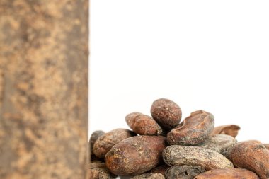 Kahverengi kakao çekirdeği beyaz üzerine izole edilmiş.