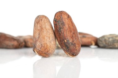 Kahverengi kakao çekirdeği beyaz üzerine izole edilmiş.