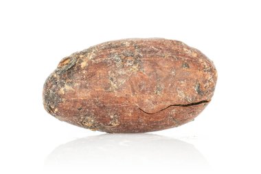 Kahverengi kakao çekirdeği beyaz üzerine izole edilmiş.