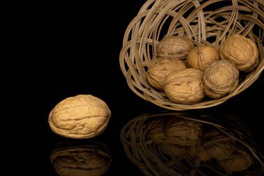 Brown tasty walnut isolated on black glass