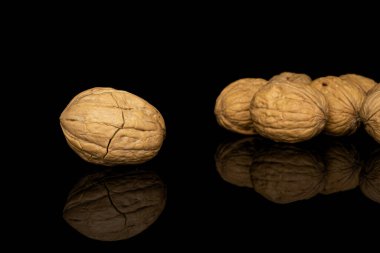 Brown tasty walnut isolated on black glass