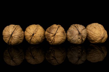 Brown tasty walnut isolated on black glass