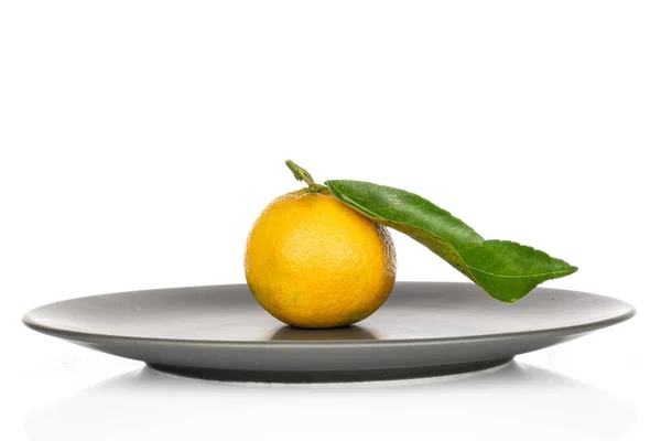 Mandarin oranye segar diisolasi pada putih — Stok Foto