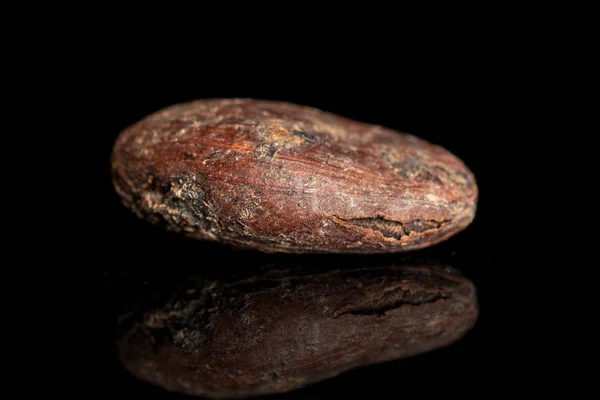 Fekete üvegen izolált barna kakaóbab — Stock Fotó