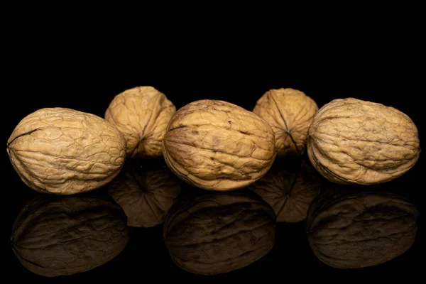 Brown tasty walnut isolated on black glass — 스톡 사진