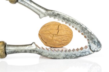Brown tasty walnut isolated on white