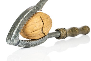 Brown tasty walnut isolated on white