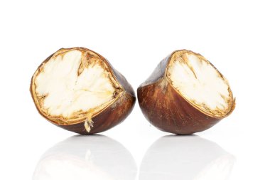 Kahverengi kestane rengi kestane beyazda izole.